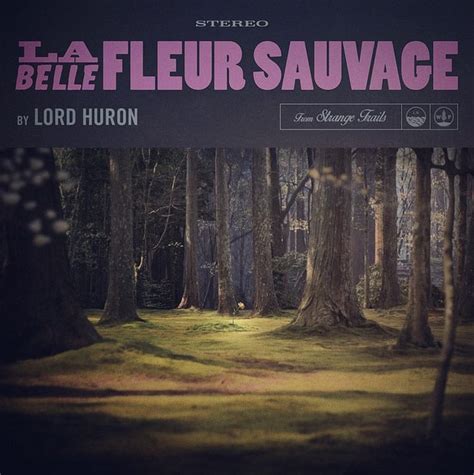 la belle fleur sauvage